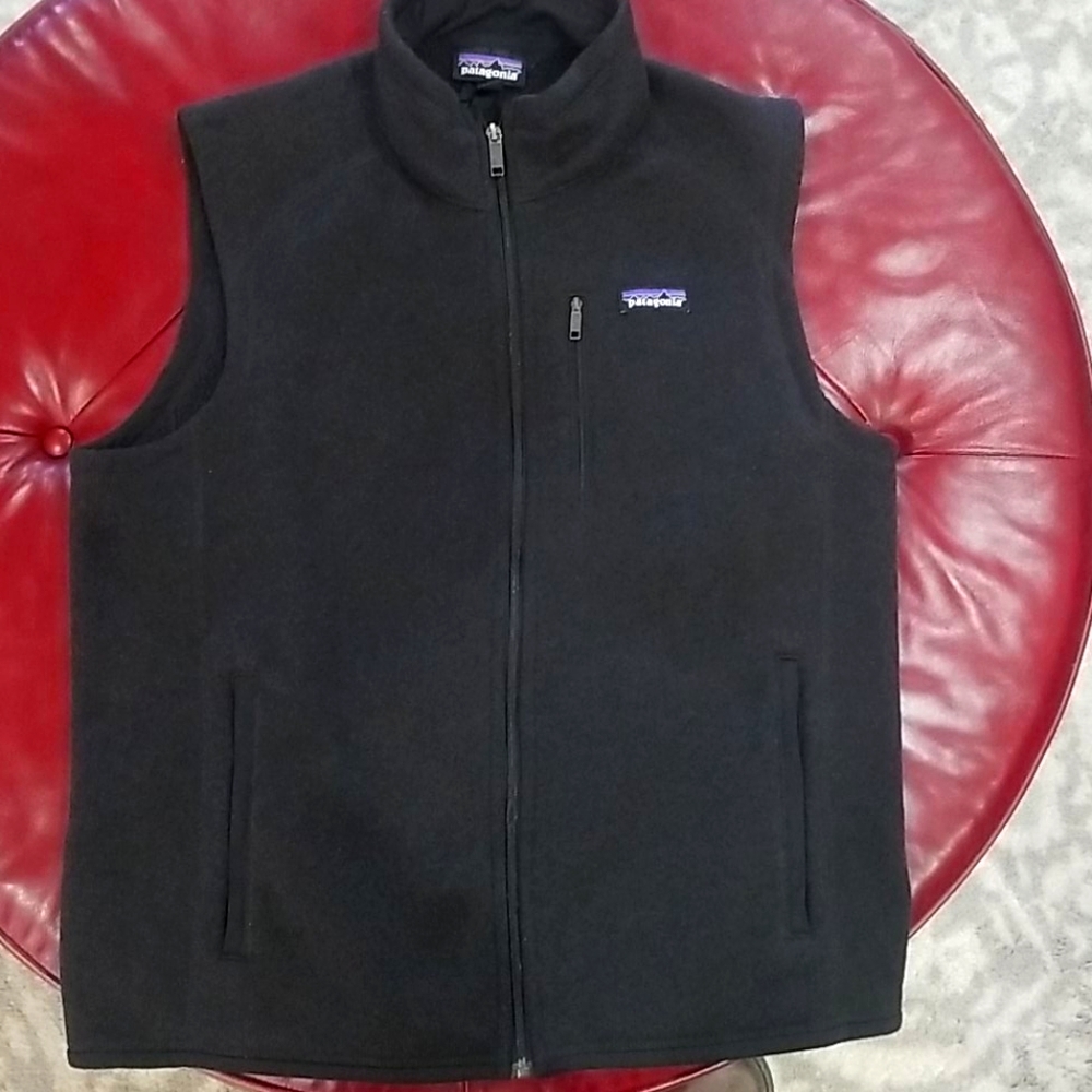 Mens Patigonia vest